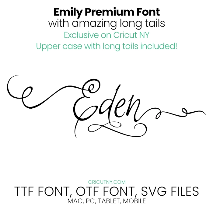 long tail cursive font for cricut and silhouette.