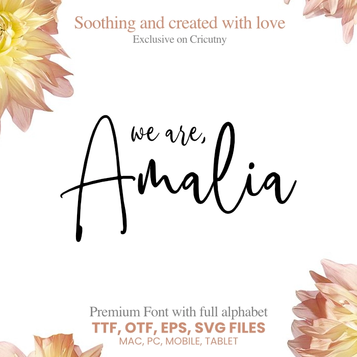 A beautiful signature font
