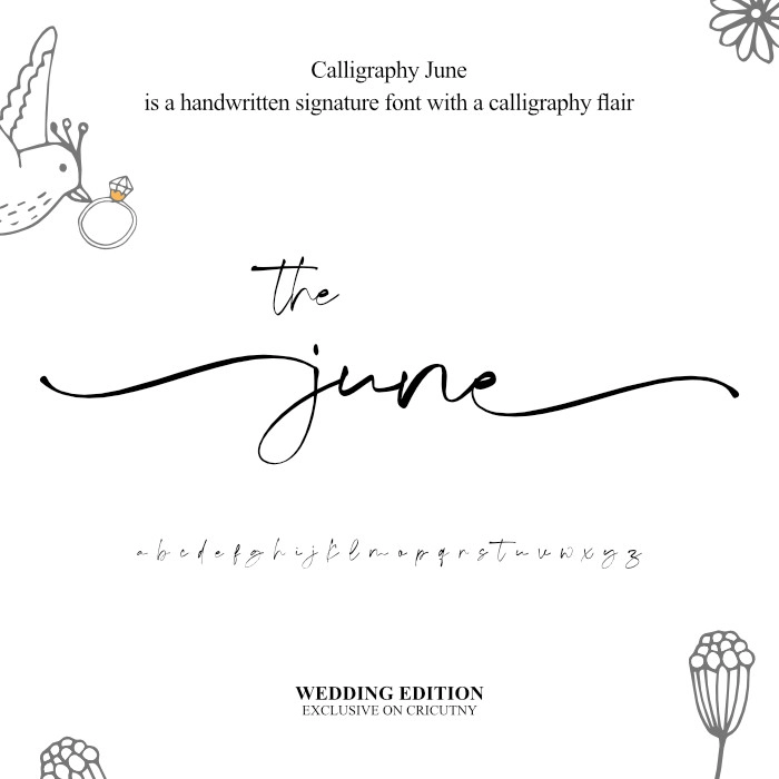 Elegant wedding font calligraphy